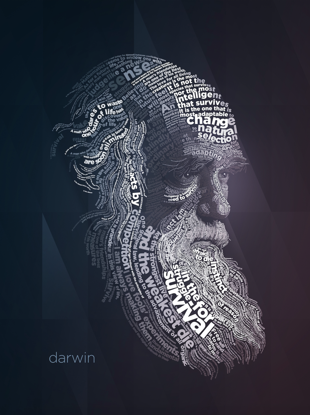 darwin-typography-poster